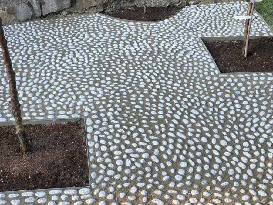Aiuola con alberello ricavata dentro l'acciottolato
